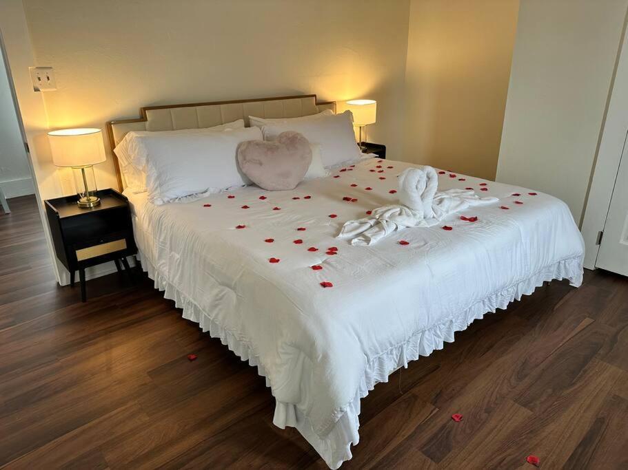 דירות סיינט אגוסטין Cedar Street Retreat - Unit D מראה חיצוני תמונה